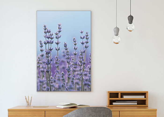 Akustikbild_Büro_Lavendel_Detail